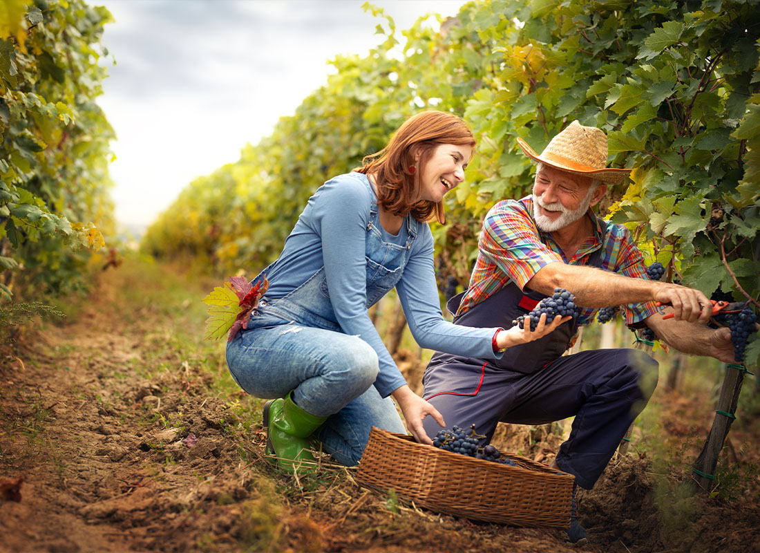 Insurance Solutions - Smiling Winegrower Couple Working Together